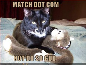 MATCH DOT COM            NOT DO SO GUD
