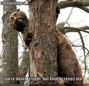 Camoflauged...  You're doing it right, but kinda creepy too.