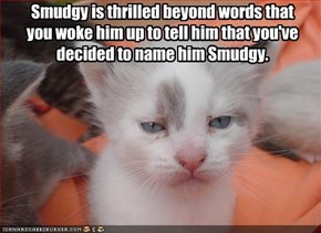 Smudgy is thrilled beyond words that  you woke him up to tell him that you've  decided to name him Smudgy.