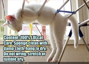 Content: 100% LOLcat