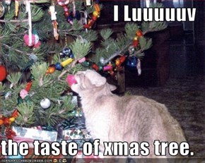 I Luuuuuv  the taste of xmas tree.