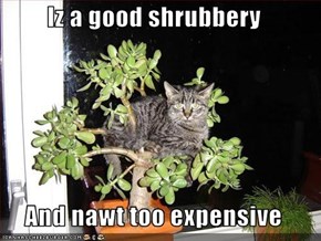 Iz a good shrubbery  And nawt too expensive
