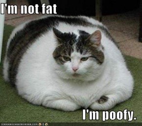 I'm not fat  I'm poofy.
