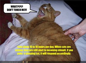 Cats sleep 16 to 18 hours per day. When cats are asleep, they are still alert to incoming stimuli. If you poke  a sleeping cat, it will respond accordingly. 