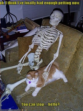 ok, I think I've finally had enough petting now.  You can stop.....hello?