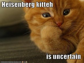 Heisenberg kitteh  is uncertain