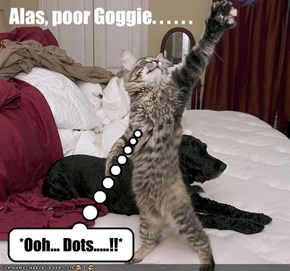 Alas, poor Goggie. . . . . .