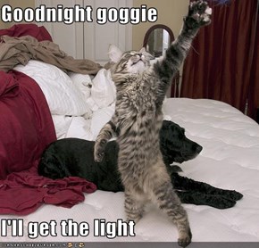 Goodnight goggie  I'll get the light