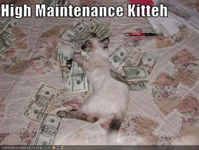 High Maintenance Kitteh