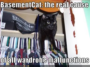 BasementCat: the real cause  of all wardrobe malfunctions