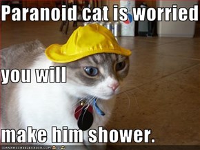Paranoid cat is worried you will make him shower.