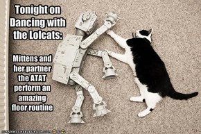 Tonight on Dancing with the Lolcats: