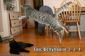 Epic Bellyflop in 3...2...1..