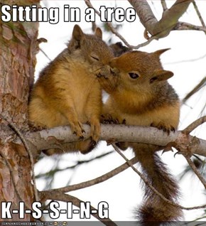 Sitting in a tree  K-I-S-S-I-N-G