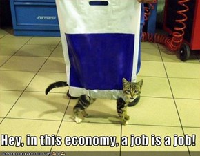 Hey, in this economy, a job is a job!