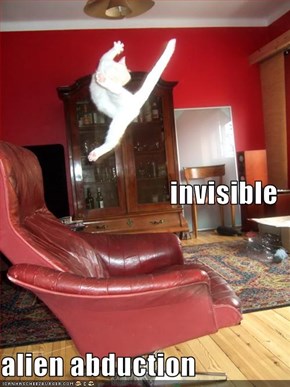 invisible alien abduction