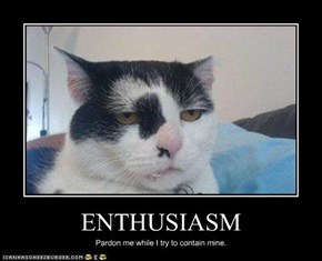 ENTHUSIASM