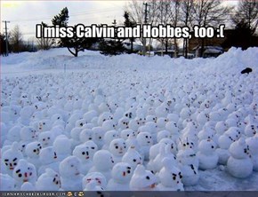 I miss Calvin and Hobbes, too :(