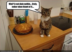 Wat? Iz not doin nuthin... Srsly, neber eben thawt of it....