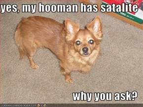 yes, my hooman has satalite  why you ask?