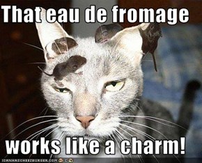 That eau de fromage  works like a charm!