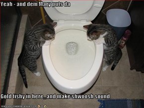 Yeah - and dem Mary puts da   Gold fishy in here,,,and make shwoosh sound