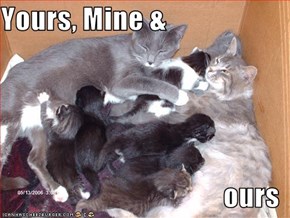 Yours, Mine &  ours