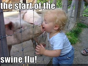 the start of the   swine flu!