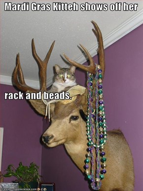 Mardi Gras Kitteh shows off her   rack and beads.