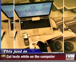 This just in - Cat texts while on the computer