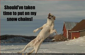 Should've taken time to put on my snow chains!