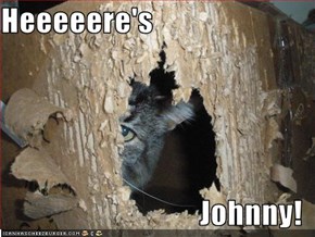 Heeeeere's  Johnny!
