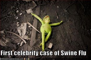 First celebrity case of Swine Flu