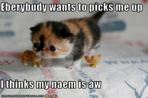 Eberybudy wants to picks me up  I thinks my naem is aw