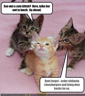 See wut a cute kitteh?  Here, taiks her owt to lunch.  Go ahead.