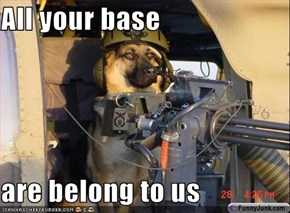 All your base  are belong to us