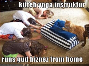 kitteh yoga instruktur   runs gud biznez from home