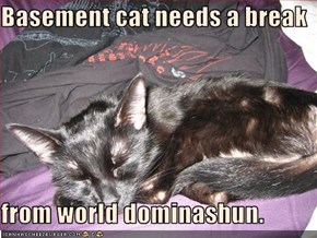 Basement cat needs a break  from world dominashun.