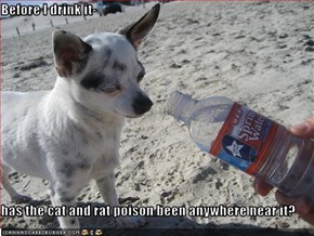 Before I drink it-  has the cat and rat poison been anywhere near it?