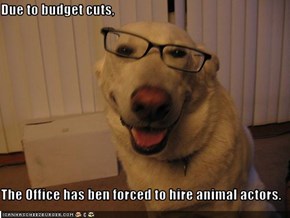 Due to budget cuts,  The Office has ben forced to hire animal actors.