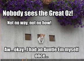 Nobody sees the Great Oz!