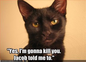 "Yes, I'm gonna kill you.  Jacob told me to."