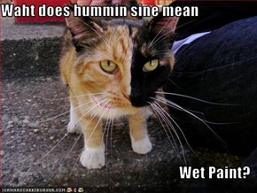 Waht does hummin sine mean  Wet Paint?