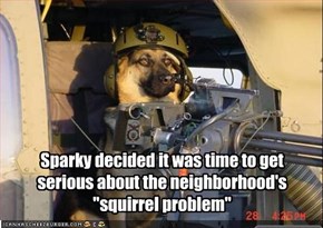 Sparky decided it was time to get serious about the neighborhood's "squirrel problem"
