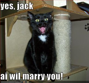 yes, jack  ai wil marry you!