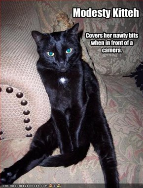 Modesty Kitteh