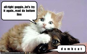 all right  goggie...let's  try  it  again...read  da  bottom  line