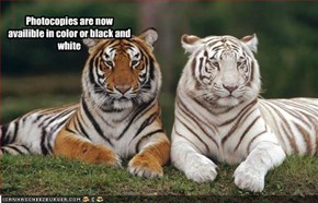 Photocopies are now availible in color or black and white