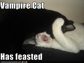 Vampire Cat  Has feasted