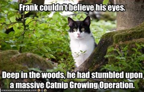 Frank couldn't believe his eyes.